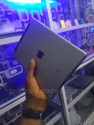 Apple iPad Air 64 GB Gray