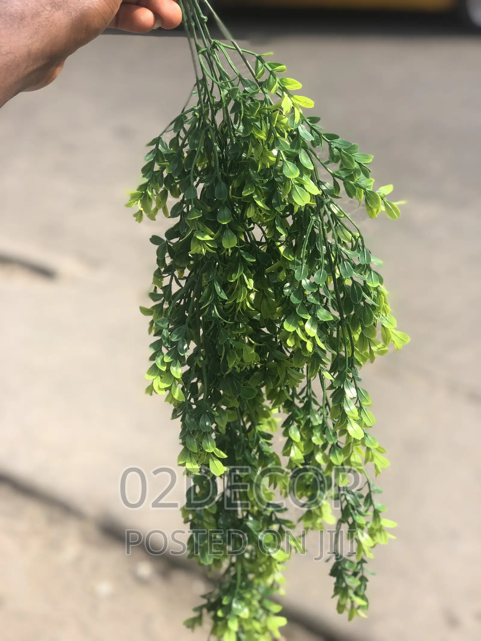 Hanging Flowers