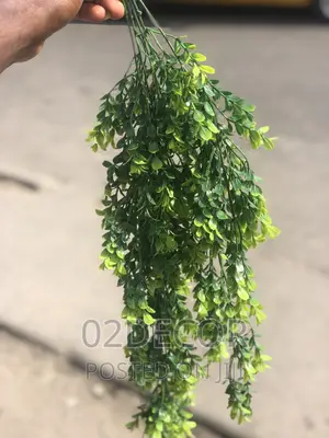 Hanging Flowers