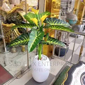 Beautiful Flower With Pot