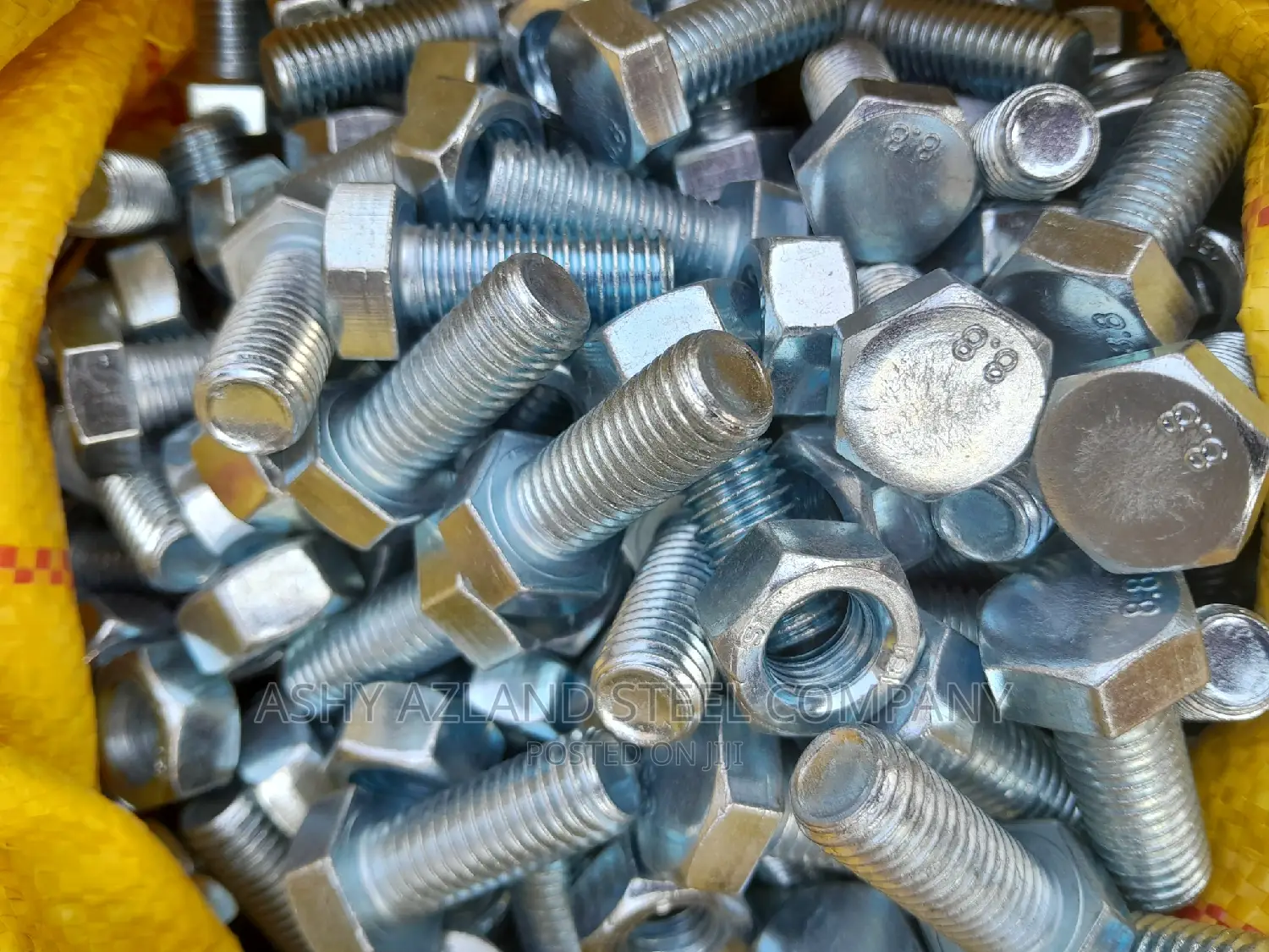 Galvanized Anchor Bolt/ Bolt Nuts, Different Sizes