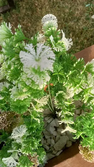 Artificial Plants Decor