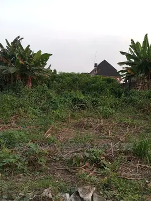 For Sale: 1 Plot at Igwuruta