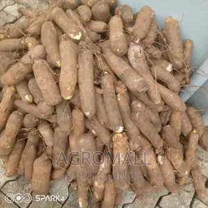 Hybrid Yam_treated