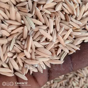 Hybrid Rice _ Varieties_1kg