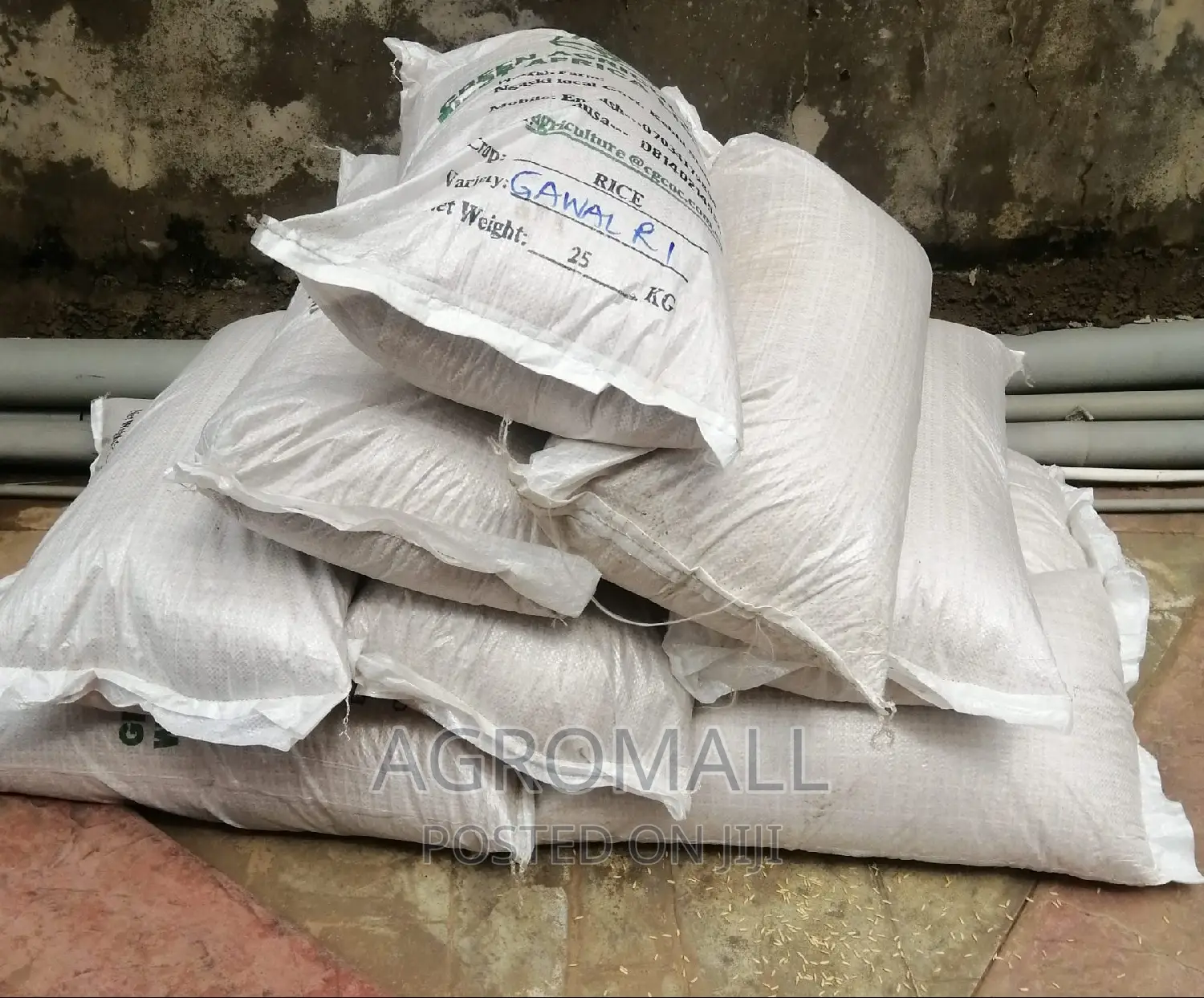 Hybrid Rice _ Varieties_1kg