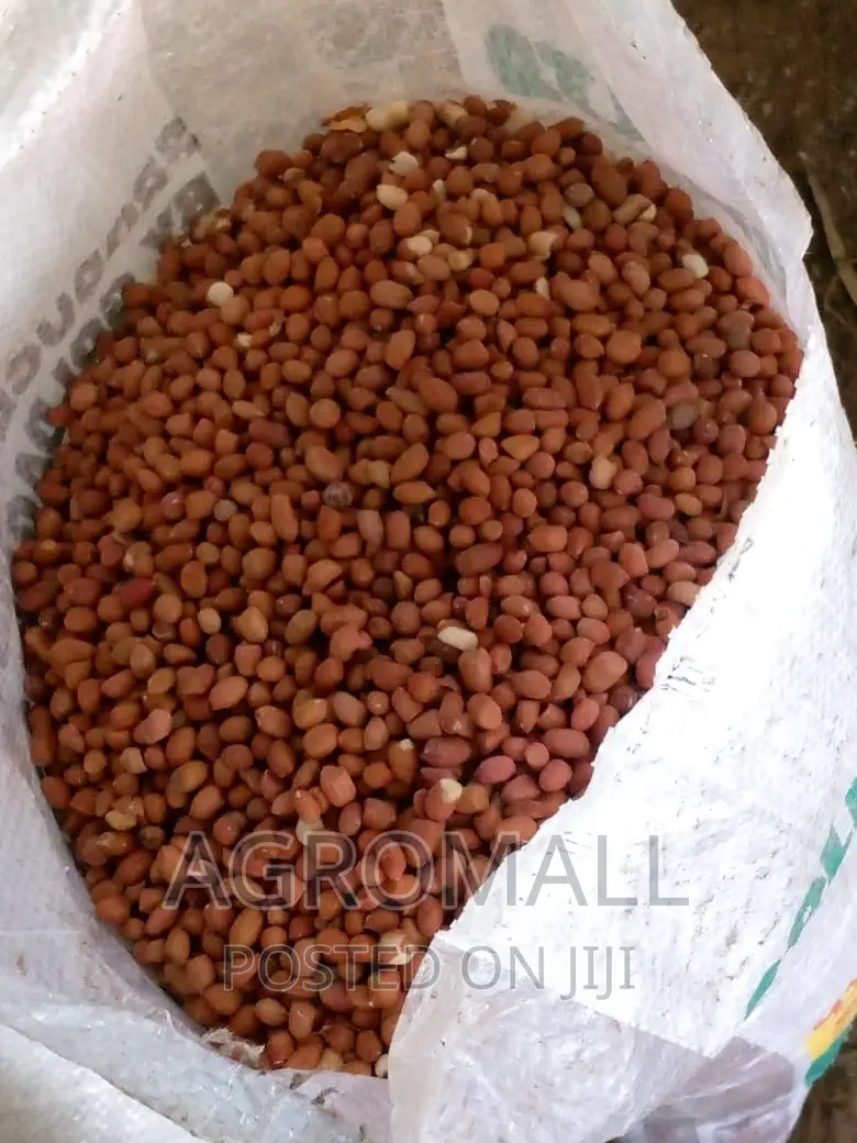 Hybrid Groundnut (SAMNUT)_1KG