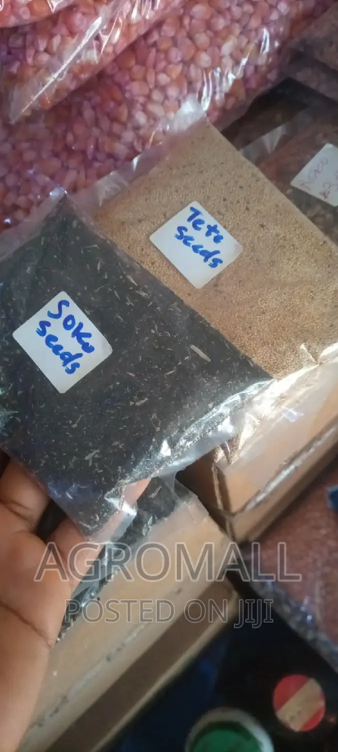 Vegetable Seeds_ for Planting