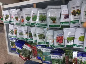Vegetable Seeds_ for Planting