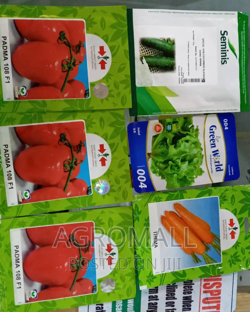 Vegetable Seeds_ for Planting