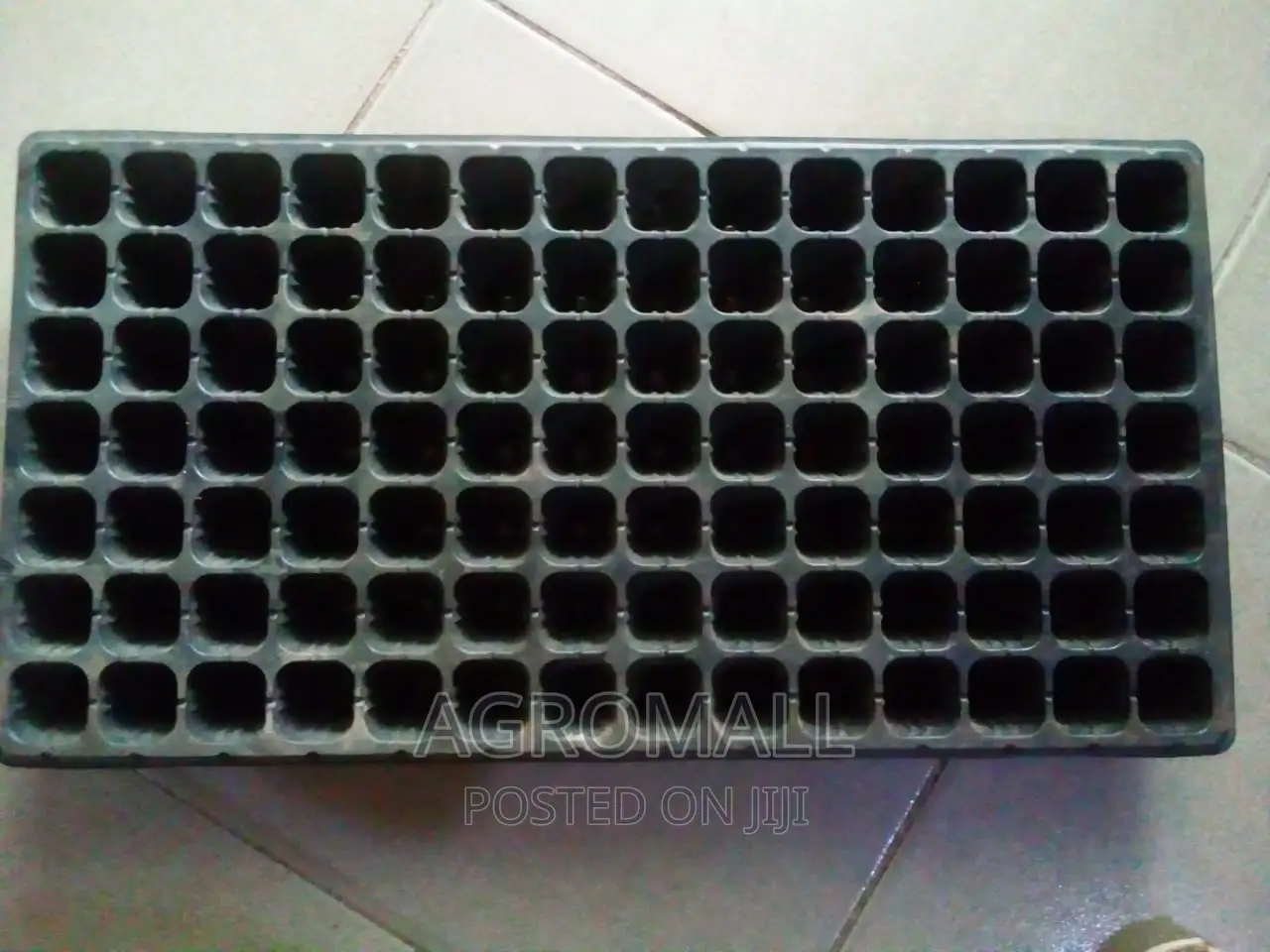 Seed Trays _ With Different Holes