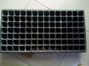 Seed Trays _ With Different Holes