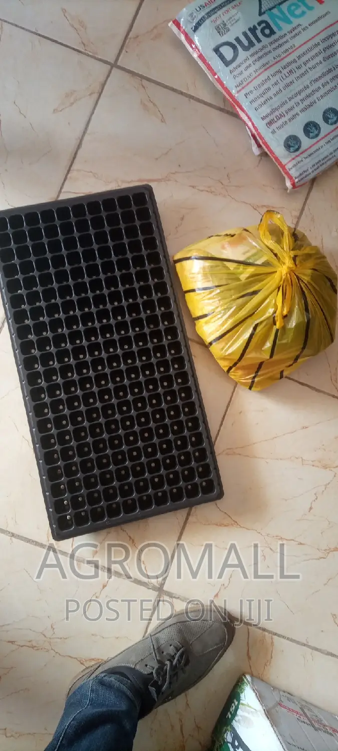 Seed Trays _ With Different Holes