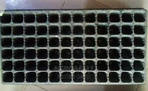 Seed Trays _ With Different Holes