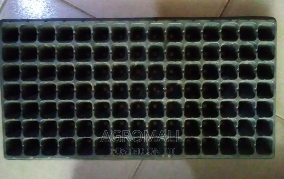 Seed Trays _ With Different Holes