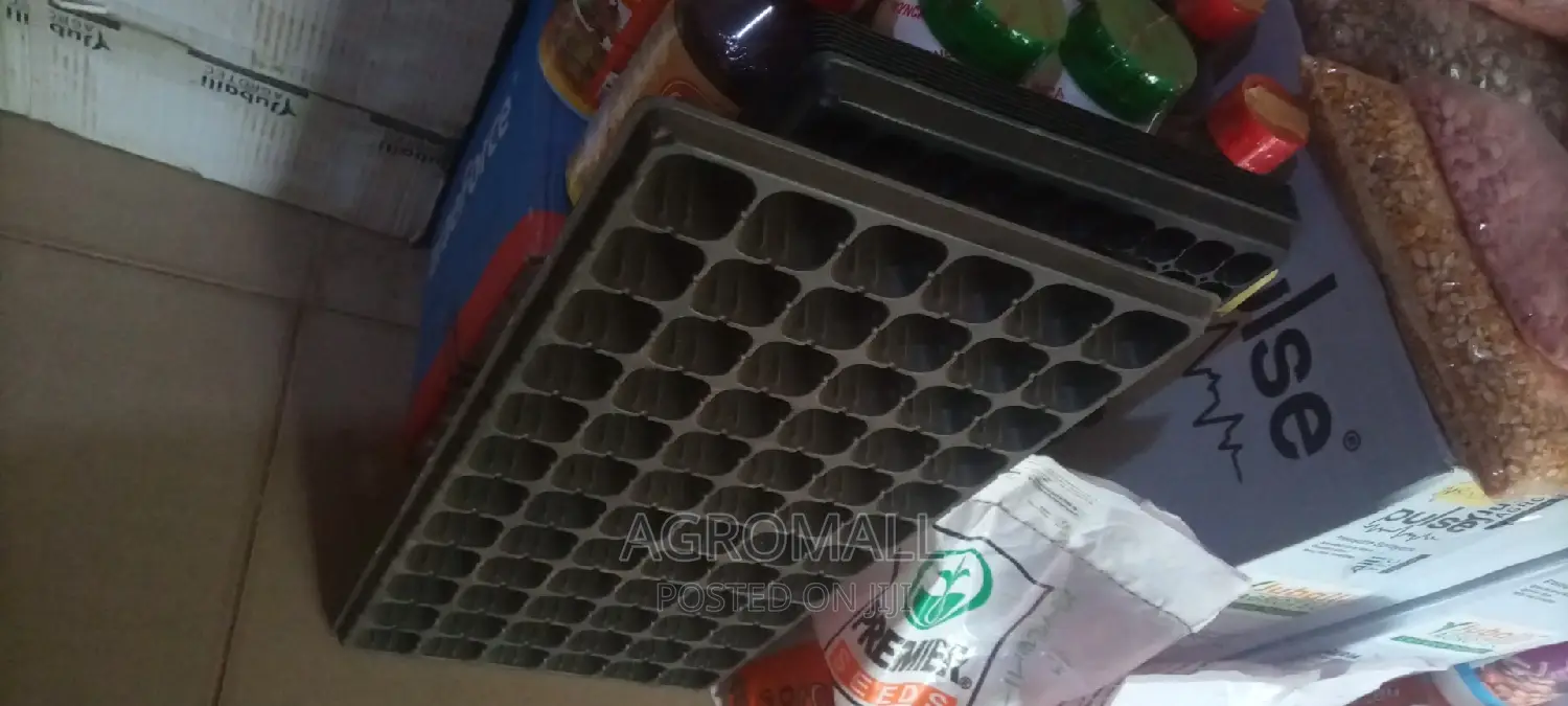 Seed Trays _ With Different Holes