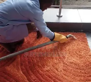 Ultimate Clean With Our Professional Cleaning Service
