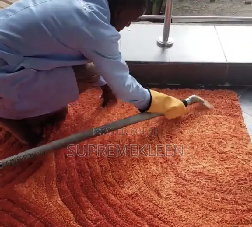 Ultimate Clean With Our Professional Cleaning Service