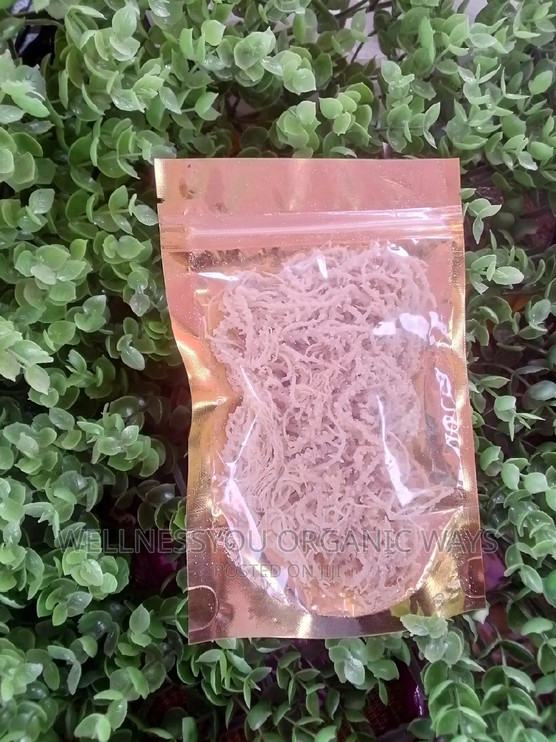 Irish Sea Moss (70g)