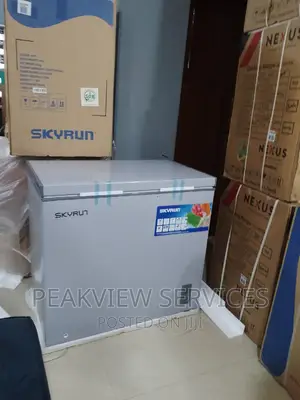 Fast Selling (BD-200A) Skyrun Chest Freezer Grey