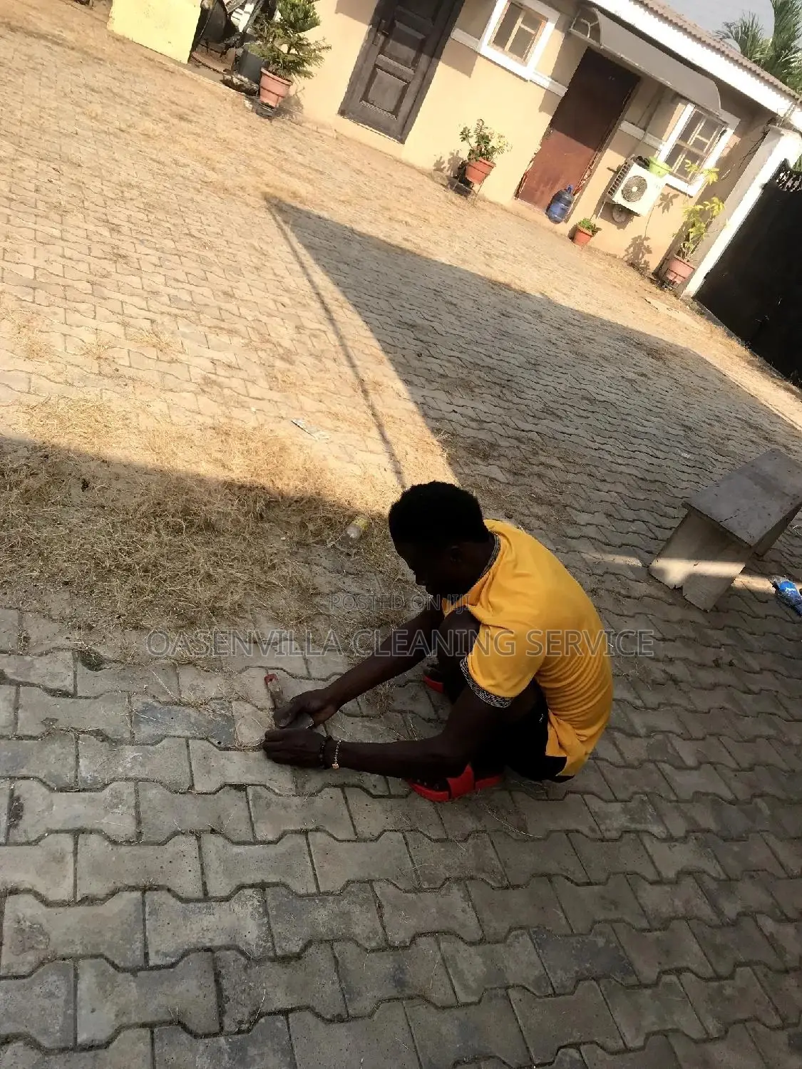 Cleaning Services