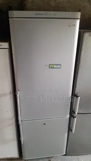 LG Expresscool Fridge and Freezer