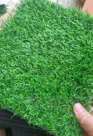 Carpet Grass