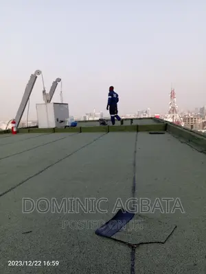 Dowager Waterproofing