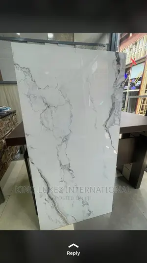 Glossy, Glassy, Classy 60x120 Tiles