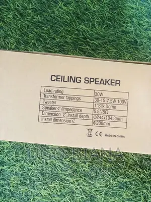 Speaker for Ceiling and Pop 30w