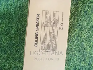 Speaker for Ceiling and Pop 30w