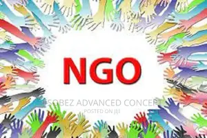 NGO Monitised Website Design