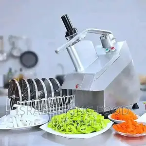 Vegetable and Plantain Industrial Stainless Electric Slicer