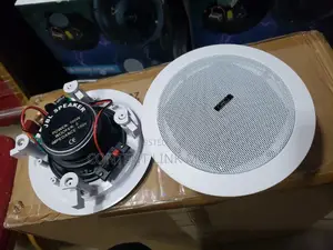 100 Watts JBL Passive Ceiling/Pop Speakers