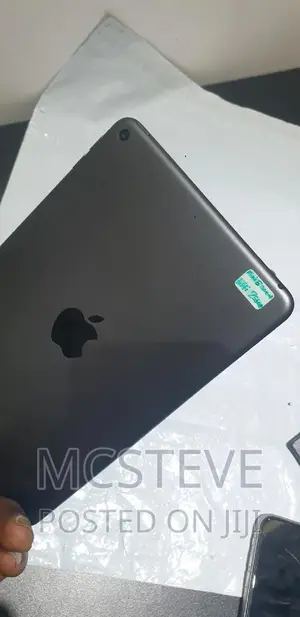 Apple iPad mini 5 256 GB Gray