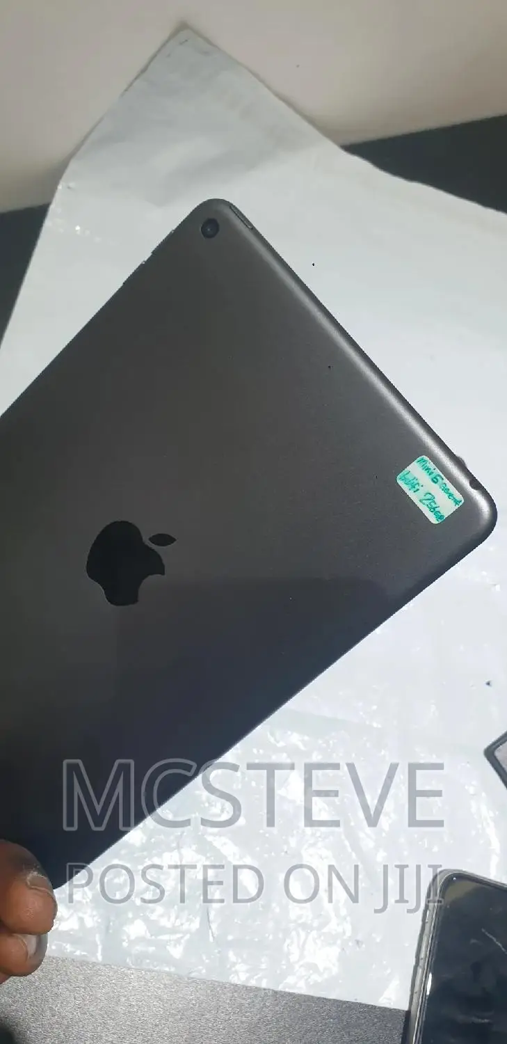 Apple iPad mini 5 256 GB Gray