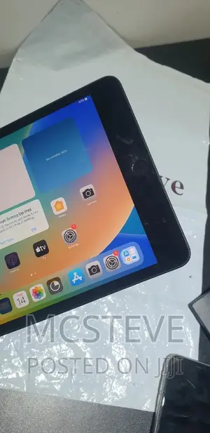 Apple iPad mini 5 256 GB Gray