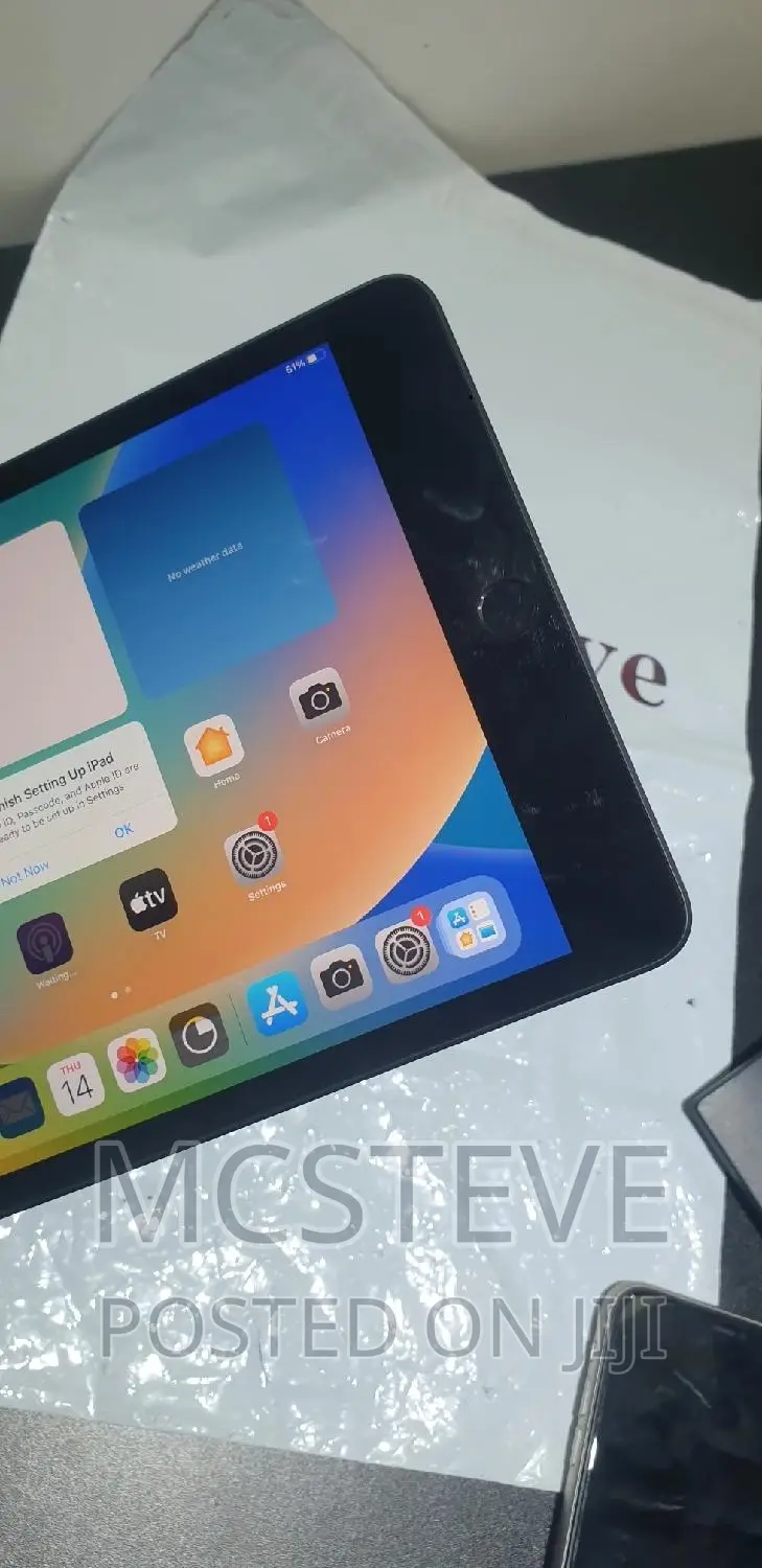 Apple iPad mini 5 256 GB Gray