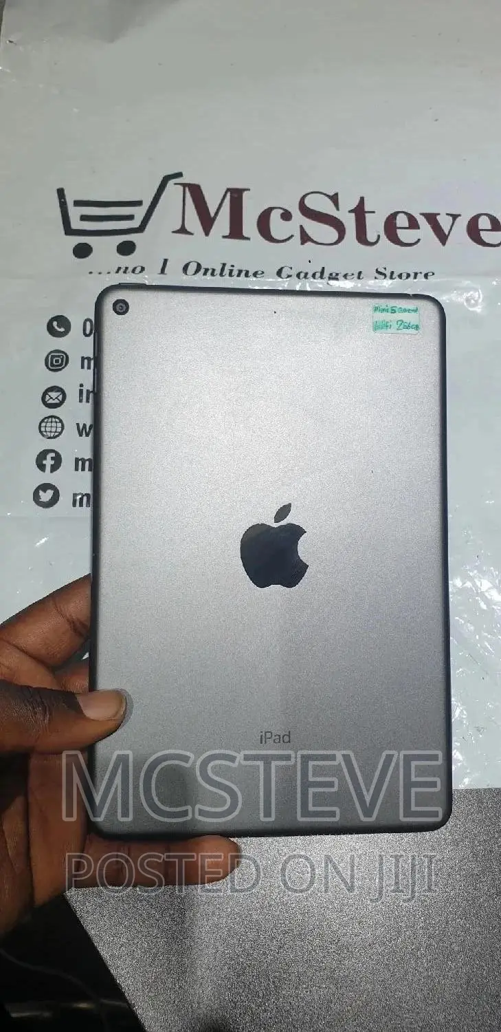 Apple iPad mini 5 256 GB Gray
