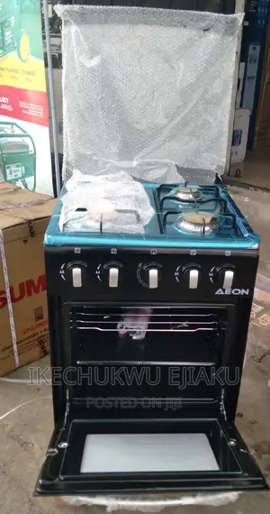 Aeon Standing Aii Gas Cooker