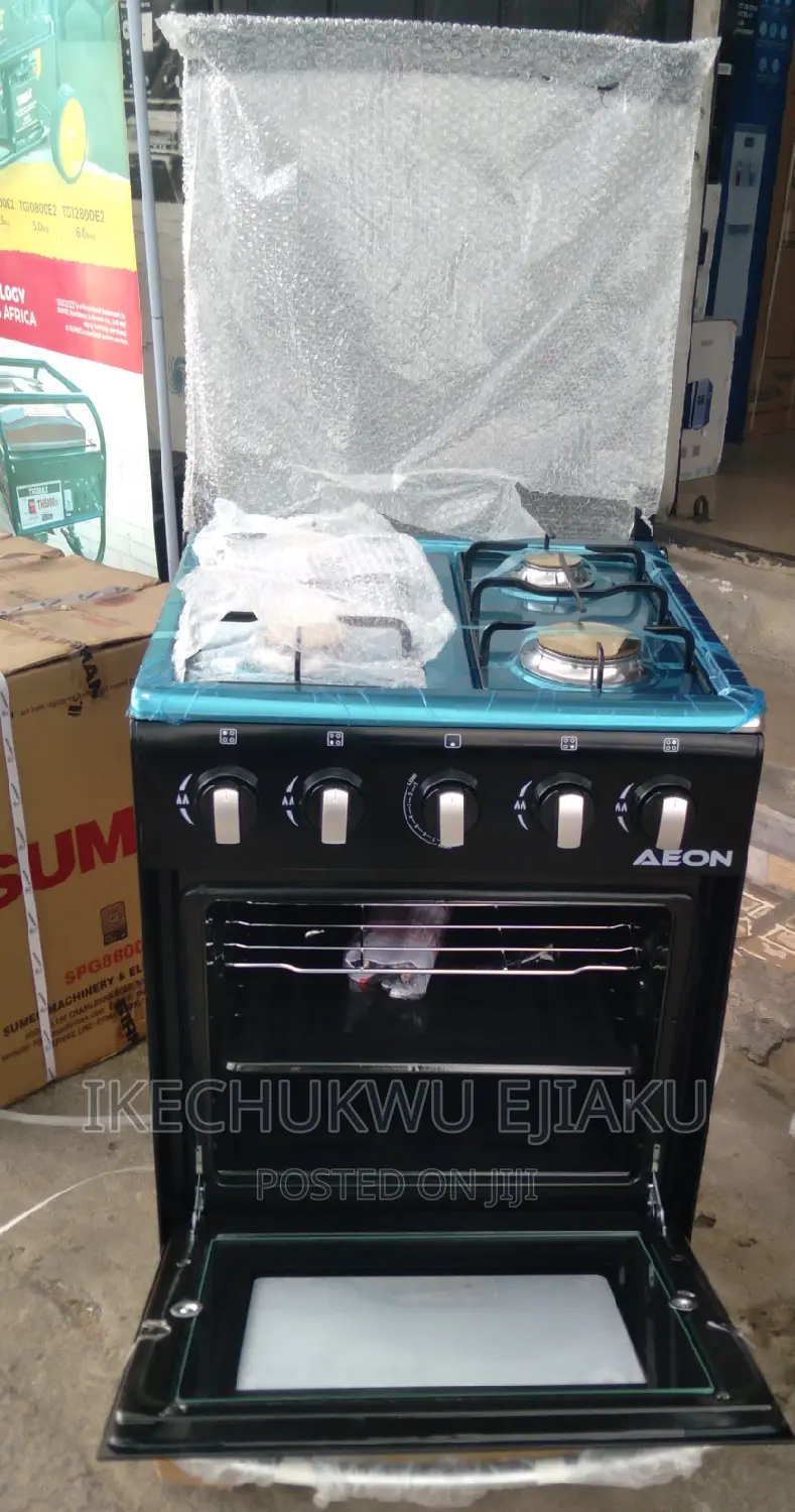 Aeon Standing Aii Gas Cooker