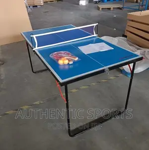 Children Indoor Table Tennis Board