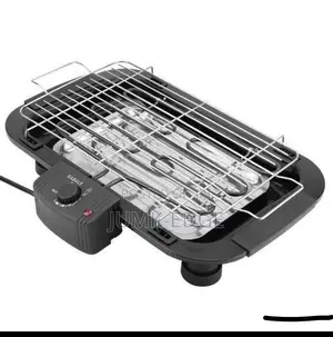 Electric BBQ Grill