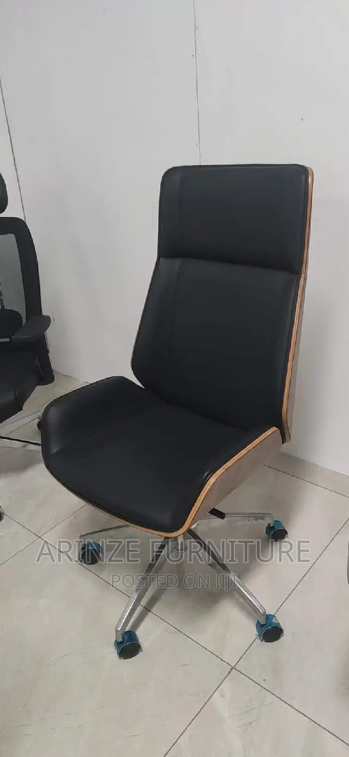 Executive Fashion Chair