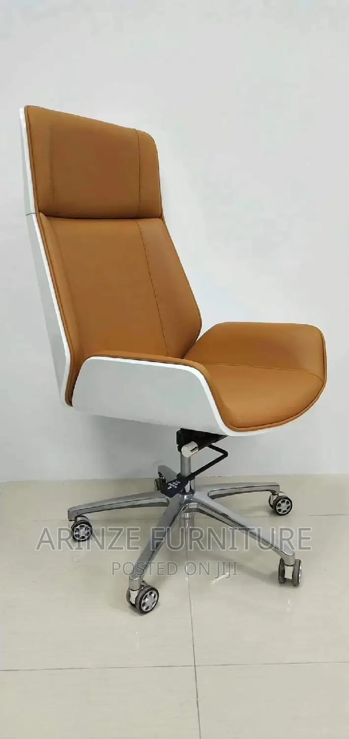 Executive Fashion Chair