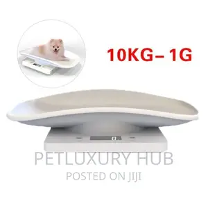 Electronic Scale