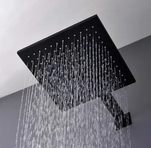 Black Shower Rose