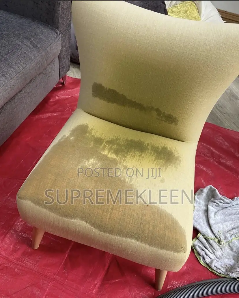 Professional Mattress, Bed Frames Sofa Cleaning Service