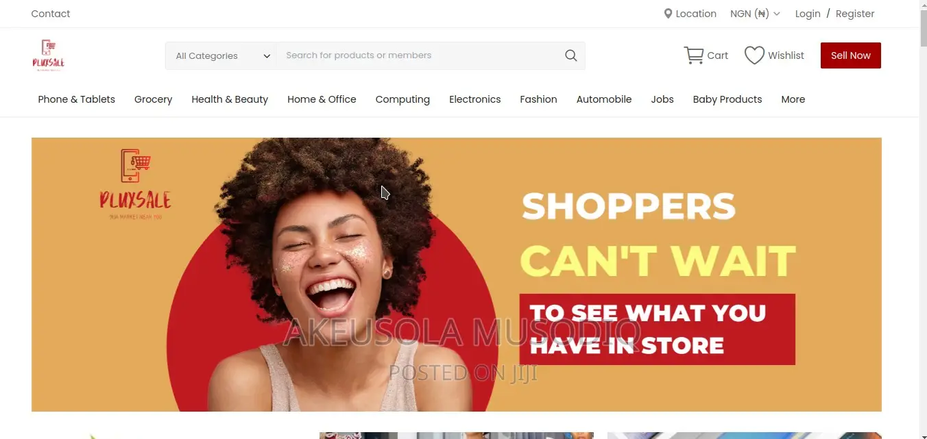 Website Design Promo 2024