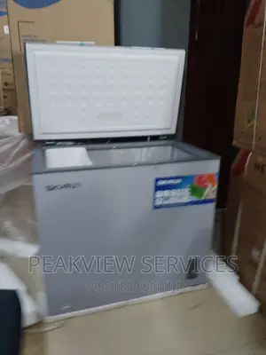 Long Lasting 200L Skyrun Freezer+Key Lock